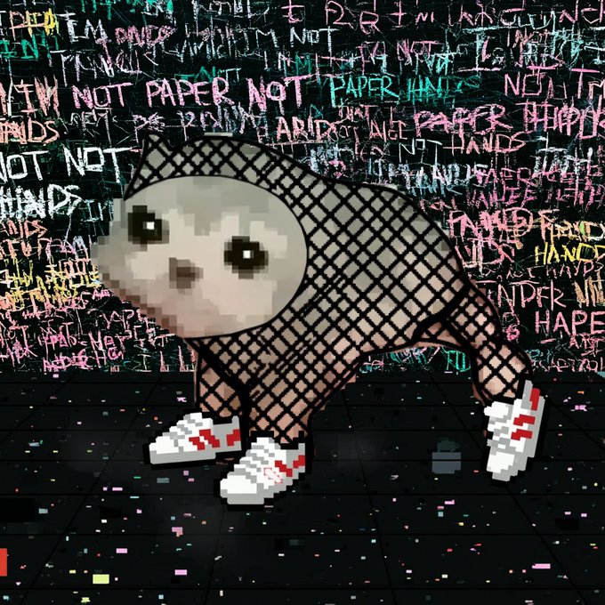 A low-resolution pixelated cat wearing a black fishnet outfit and red-accented sneakers stands on a glitchy black floor, set against a chaotic background covered in graffiti-like text repeatedly reading "NOT PAPER," "PAPER HANDS," and "DIAMOND HANDS." The image's crude rendering and absurd styling playfully reinforce the caption's theme of being an awkward, low-fi cat trapped in a tacky, meme-inspired world.