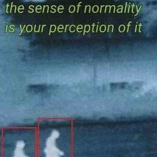 A dark, rainy scene with two silhouetted figures walking, overlaid with the text "the sense of normality is your perception of it."