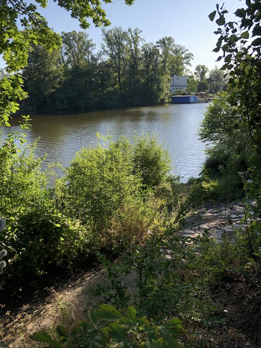 A scenic view of a calm river surrounded by lush green trees and vegetation, with a white building visible in the distance across the water.