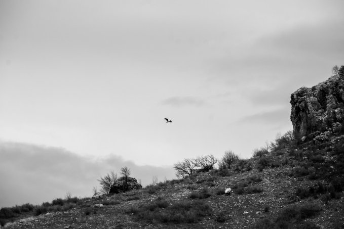 The image features a bird flying over a rocky hillside, with a cloudy sky above. The bird can be seen soaring high above the landscape, giving the impression of a solitary flight. The photo appears to have been taken at sunset or during dusk, as suggested by the low light conditions and the presence of clouds in the sky.