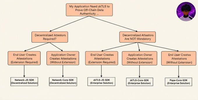 A flowchart titled 'My Application Need zkTLS to Prove Off-Chain Data Authenticity...' branching from 'Decentralized Attestors Required?' and 'Decentralized Attestors Are NOT Mandatory' to various SDK solutions like Network-JS-SDK, Network-Core-SDK, zkTLS-JS-SDK, zkTLS-Core-SDK, and Papa-Core-SDK, with a profile picture of an anime-style character in the top right corner.