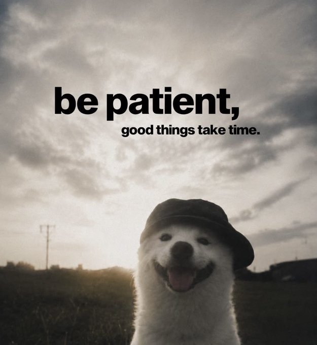 An inspirational image featuring a smiling white dog wearing a black hat against a cloudy sunset sky, with the text 'be patient, good things take time.'