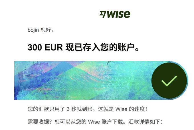 A screenshot of a confirmation message from Wise. The Chinese text states "bojin 您好," "300 EUR 现已存入您的账户。", and "您的汇款只用了 3 秒就到账。这就是 Wise 的速度！" alongside a green checkmark.