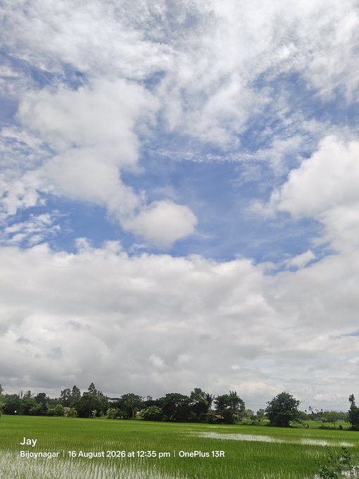 Landscape photo of green rice paddies under a partly cloudy blue sky, taken in Bijoynagar on 16 August 2026 at 12:35 pm with a OnePlus 13R.