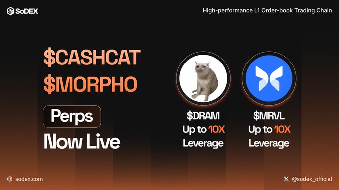 A SoDEX promotional graphic announcing that $CASHCAT and $MORPHO perpetual futures are now live for 24/7 trading on the high-performance L1 order-book trading chain, alongside highlights of $DRAM and $MRVL perps available with up to 10X leverage.