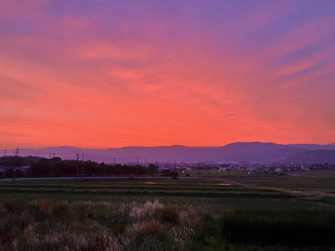 The image shows a beautiful sunset over a field with mountains in the background, creating a stunning view of nature's colors. The sky has hues of orange and purple, indicating that the sun is setting or rising. In the foreground, there are power lines running across the scene, adding an urban touch to the otherwise natural landscape.