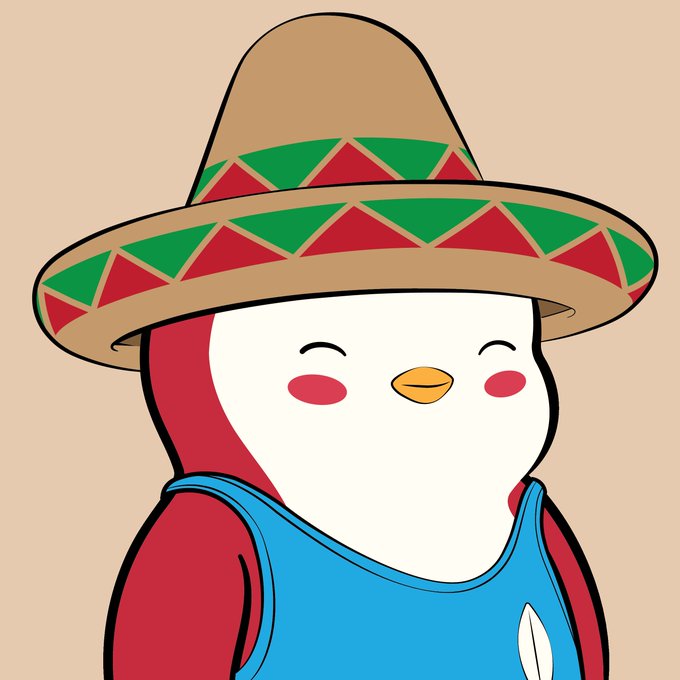 An illustration of a cute white cartoon penguin or bird character wearing a brown sombrero with red and green triangular patterns and a blue shirt.