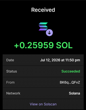 A transaction confirmation showing a successful receipt of +0.25959 SOL on the Solana network, providing visual proof of the small purchase of $RBULL tokens mentioned in the post.