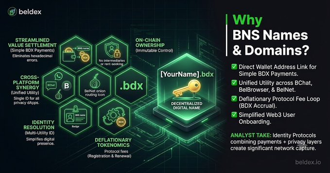 An infographic from beldex.io explaining 'Why BNS Names & Domains?' featuring features like decentralized digital names and cross-platform synergy.