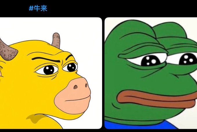A meme image with the hashtag "#牛来" (Good luck) showing a side-by-side comparison of a yellow bull with a determined expression and a sad-looking Pepe the Frog, humorously depicting the contrast between bullish optimism and bearish pessimism in the stock or crypto market. The accompanying "？" question mark suggests uncertainty about which sentiment will prevail.