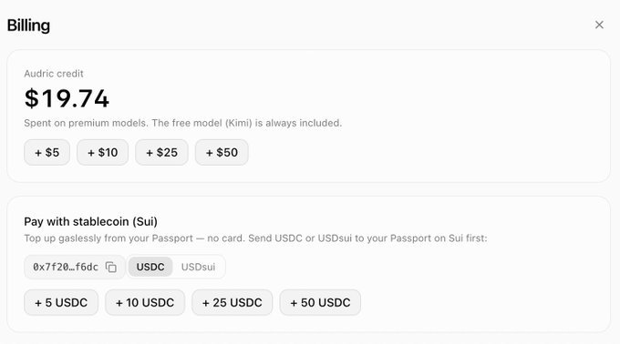 A billing interface showing Audric credit of $19.74 with options to add $5, $10, $25, or $50, along with a separate section to pay with USDC or USDsui stablecoins via Sui wallet.