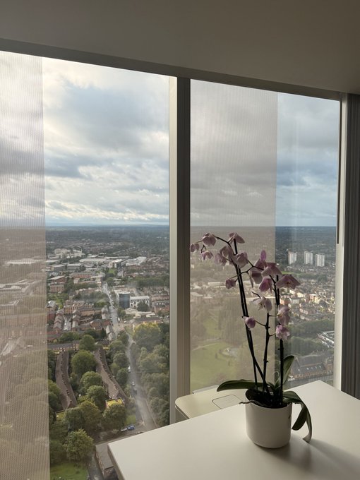 A potted orchid sits on a desk in front of floor-to-ceiling windows overlooking the Manchester skyline, reflecting the post's theme of an early morning view from a high-rise office in the city.