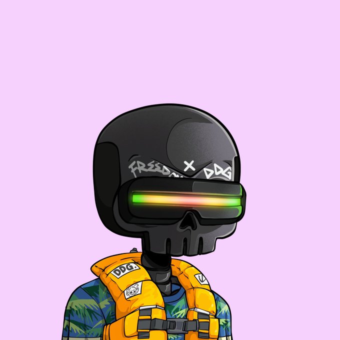 A cartoon-style illustration of a skull-headed character wearing a black helmet with "FREEDOM DOG" written on it, a glowing visor, and an orange life vest over a colorful shirt.