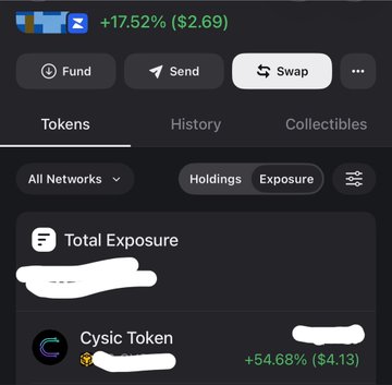 A cryptocurrency wallet interface showing a portfolio gain of '+17.52% ($2.69)' with tabs for Fund, Send, and Swap, displaying holdings and a 'Cysic Token' up '+54.68% ($4.13)'.