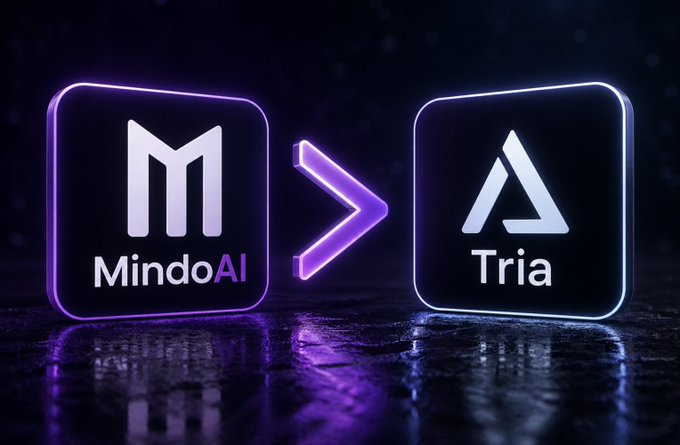 𝗡𝗲𝗿𝘁𝗵𝗲 𝗣𝗲𝗱𝗲 𝗦𝗲𝗰𝗲 𝗠𝗲𝗴𝗲 𝗥𝗲𝗴𝗲