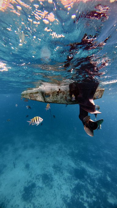 An underwater shot shows a snorkeler near the surface of the ocean with a small boat floating above them, accompanied by several black and white striped tropical fish swimming in clear turquoise water.