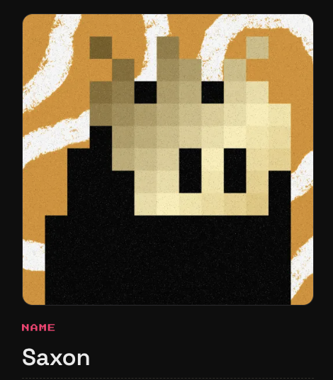 A pixel art character card labeled "NAME: Saxon" depicting a figure with a black body and a tan, crown-like head against an orange background with white wavy stripes.