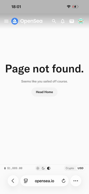 A mobile screenshot of the OpenSea website displaying a "Page not found" error with the message "Seems like you sailed off course" and a "Head Home" button.