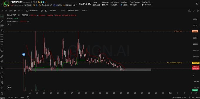 A TradingView chart showing PUMPCAT (PUMP) cryptocurrency on GMGN.AI with a current price of $224.18K, displaying a 1-hour candlestick chart with a 25.04% gain and various technical indicators.