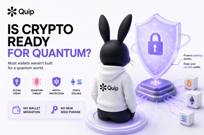 The image features a cartoon rabbit wearing a white hoodie with the word "QIP" written across its back, sitting next to a shield that has a lock on it. The background of the image is white, and there are several blocks scattered around the rabbit and shield. The text in the image reads "Is Crypto Ready for Quantum? Most wallets were never built for a world where a Quantum computer exists".