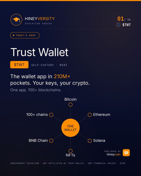 A HineyVersity educational infographic about Trust Wallet ($TWT), highlighting features like self-custody, Web3, and support for 100+ blockchains including Bitcoin, Ethereum, BNB Chain, Solana, and NFTs.