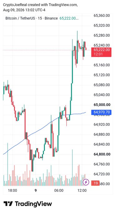 A TradingView chart showing the Bitcoin/TetherUS 15-minute Binance pair, created by CryptoJoeReal on Aug 09, 2026, with the current price around $65,222.00.