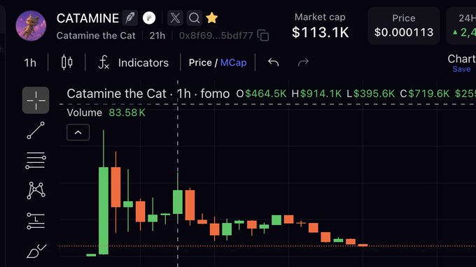 Trading chart for the meme coin 'CATAMINE' (Catamine the Cat) showing a 1-hour candle chart with market cap of $113.1K and price of $0.000113.