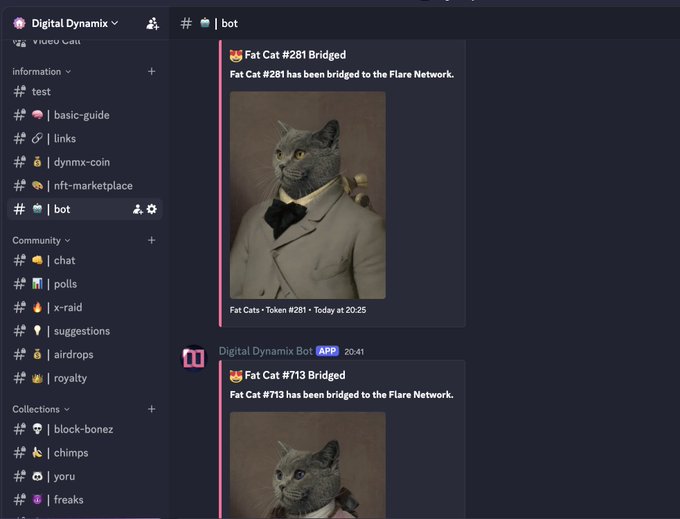 The image displays a screenshot of a website named "digitaldynamix" with an open chat window containing two posts about cats. One post is in English, talking about fat cats being bridged from Songbird to the Flare Network through a digital medium called @DigitalDynamix Discord Bot. The other post is also in English and mentions that the cat has been bridged to the Flare Network using this bot. These posts highlight the cat's role as a bridge between the two online communities, connecting people who share an interest in cats.