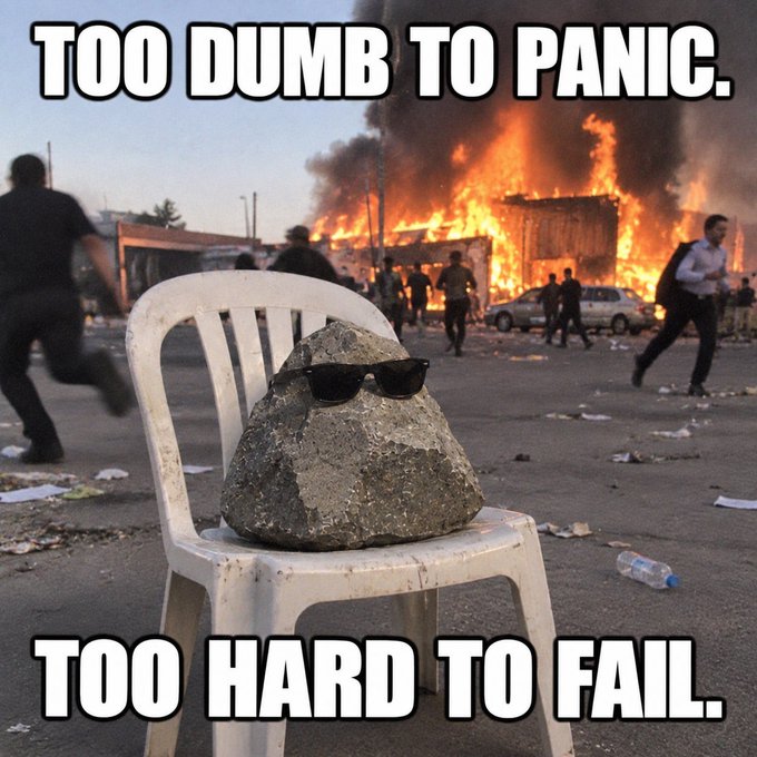 A meme featuring a rock wearing sunglasses sitting calmly on a white plastic chair amid a chaotic scene of a large fire and people running, with the text 'TOO DUMB TO PANIC.' and 'TOO HARD TO FAIL.'