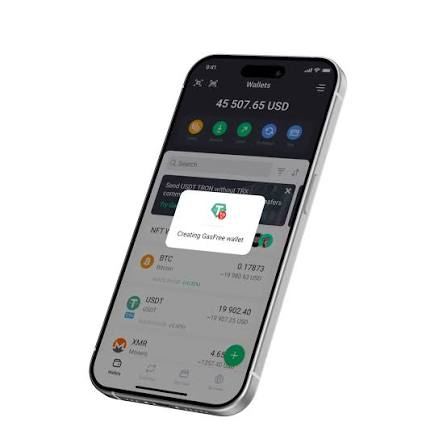 A smartphone displays the Exodus wallet app showing a balance of 45,507.65 USD across various crypto assets (BTC, USDT, XMR), with a popup reading "Creating GasFree wallet." This illustrates the post's point about improving stablecoin usability for everyday payments by enabling seamless, fee-free transfers of assets like USDD between wallets.