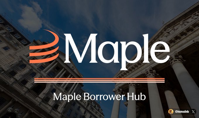 The image features a large building with columns and a dome, which appears to be a government or historical structure. The text "Maple" is written above this building, indicating that Maple Borrower Hub has been launched by the institution. The title of the post reads "Last week Maple launched the Borrower Hub", suggesting that it was recently published on a website related to Maple Borrower Hub.