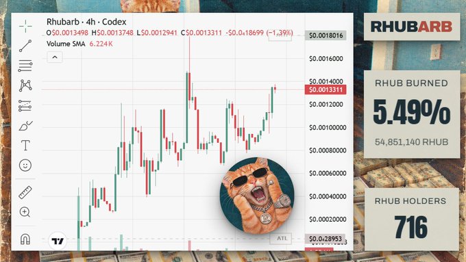 A cryptocurrency chart for "Rhubarb" on Codex displaying OHLC data and volume, alongside a "RHUB BURNED" box showing "5.49%" and "RHUB HOLDERS" at "716," with an image of a cat wearing sunglasses and gold chains.