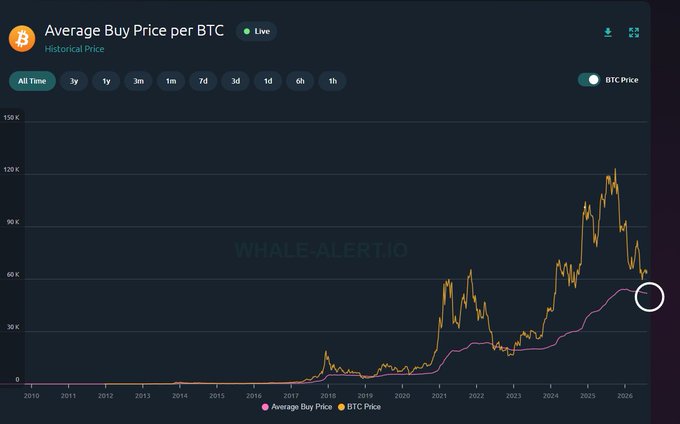 A chart titled "Average Buy Price per BTC" from whale-alert.io shows the historical BTC price (orange) and Average Buy Price (pink) from 2010 through 2026, with BTC currently trading around the $50K mark while the Average Buy Price line sits near $51,963. The visual supports the post's claim that price has fallen below the pink average buy price line, with prior retests visible during the 2018 and 2022 bear markets, suggesting the bottom may not yet be in.