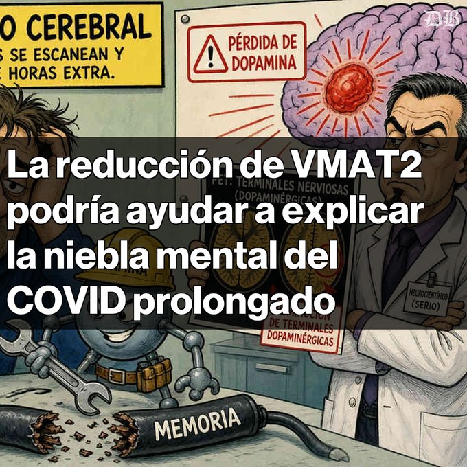 An illustrative graphic with the headline 'La reducción de VMAT2 podría ayudar a explicar la niebla mental del COVID prolongado,' featuring a worker, a damaged 'MEMORIA' pipe, and a doctor labeled 'NEUROCENTRÍFICO (SERIO)'.