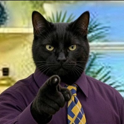 A humorous edited image of a black cat with yellow eyes wearing a purple shirt and yellow/blue checkered tie, pointing its paw directly at the viewer.