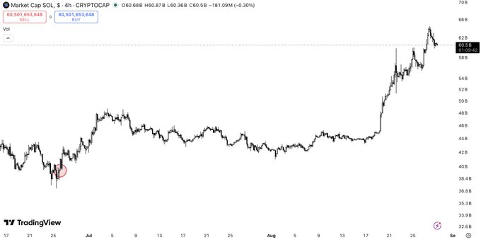 A TradingView 4-hour chart of SOL/USDT on the CRYPTOCAP market shows SOL bottoming around $35B market cap (circled in red) before staging a massive rally to over $60.9B — illustrating the "perfect bottom" call highlighted in the post, where conviction during widespread despair led to capturing most of the subsequent vertical move to new highs.