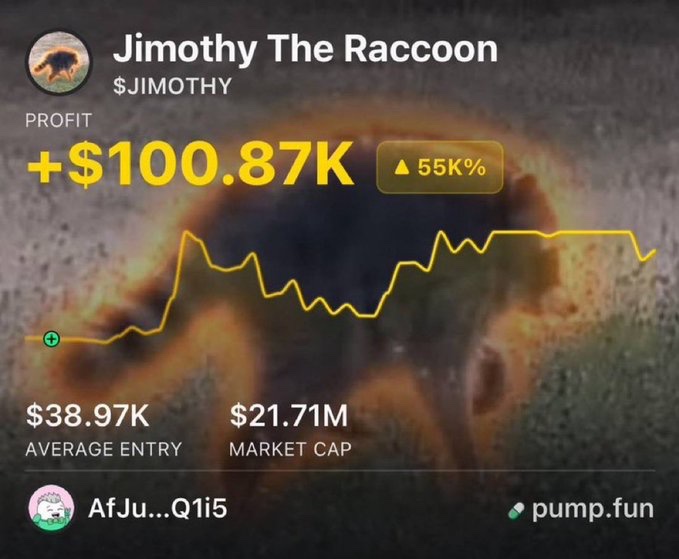 A screenshot shows a token called 'Jimothy The Raccoon' ($JIMOTHY) on pump.fun with a profit of +$100.87K and a 55K% increase.