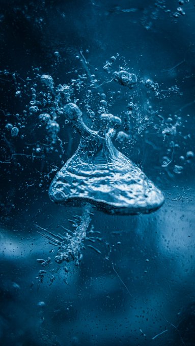 A close-up shot of a water droplet suspended in dark blue water, surrounded by numerous air bubbles clinging to what appears to be a glass surface.