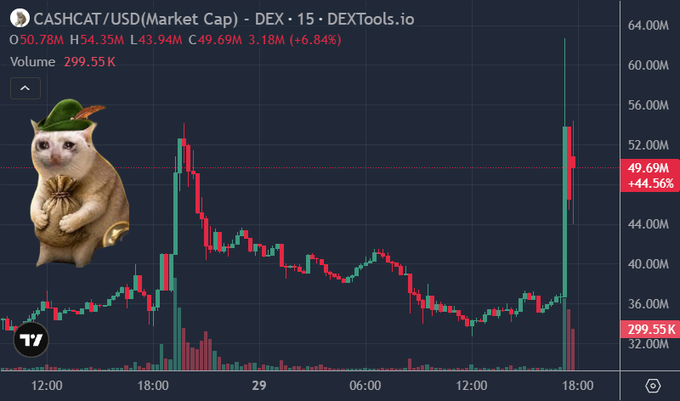 A TradingView chart for CASHCAT/USD showing a 44.56% increase, with a meme image of a cat wearing a hat and holding a money bag overlaid on the chart.