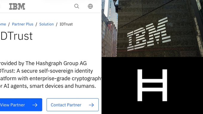 IBM's Partner Plus page featuring IDTrust by The Hashgraph Group AG, alongside the iconic IBM striped logo and a large "H" symbol, highlighting a secure self-sovereign identity platform built on Hedera's enterprise-grade cryptography. The image visually reinforces the post's endorsement of Hedera by showcasing a real-world enterprise partnership leveraging its ledger technology.