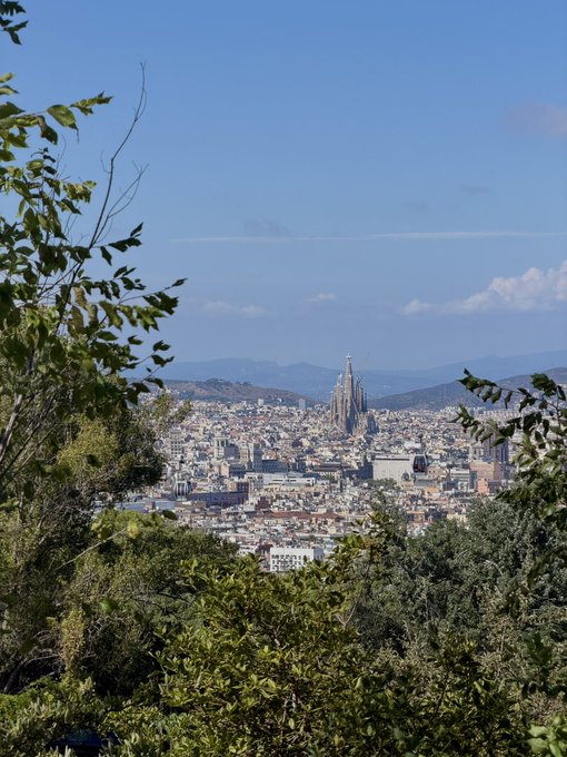 A scenic view overlooking the city of Barcelona from an elevated vantage point, with the Sagrada Família visible in the distance, framed by green tree branches in the foreground.