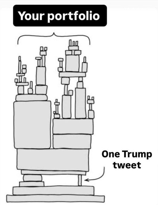 A cartoon meme titled 'Your portfolio' showing a precarious tower of blocks labeled 'One Trump tweet' being held up by a single small peg at the bottom.