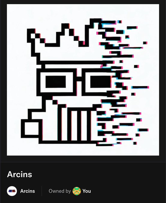 Pixel art NFT profile picture of a stylized character with glasses and a crown, labeled 'Arcins' and 'Owned by You'.