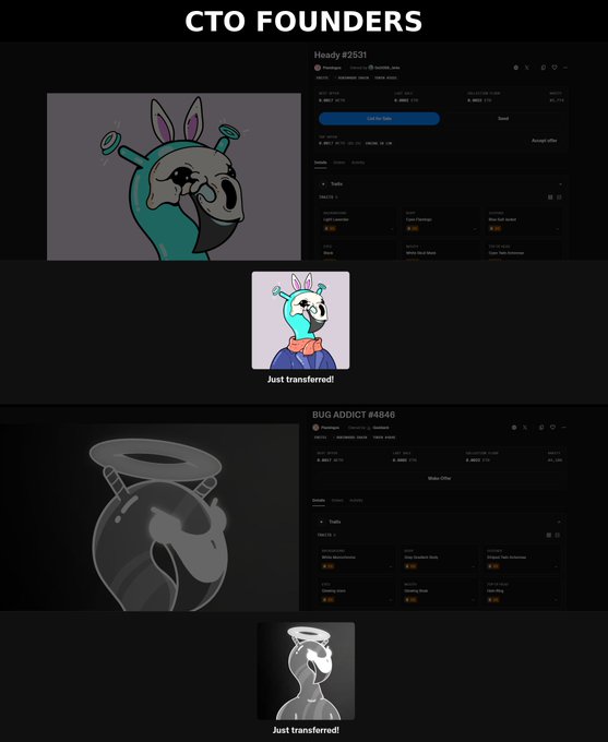 A webpage screenshot titled 'CTO FOUNDERS' showing NFT collection items, including 'Heady #2531' and 'BUG ADDICT #4946', both displaying 'Just transferred!' status.