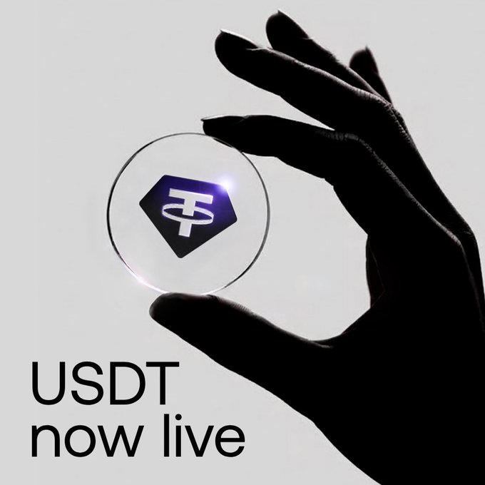 A promotional image showing a silhouetted hand holding a transparent disc displaying the USDT logo, with the text 'USDT now live' at the bottom.