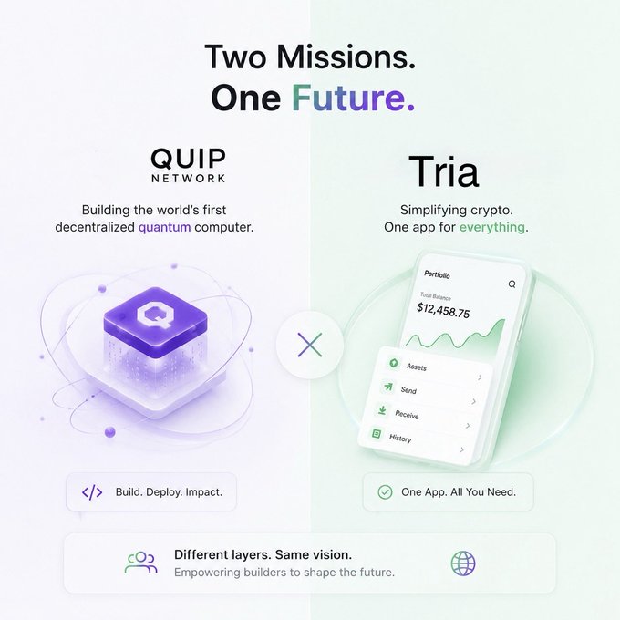 The image shows two different versions of a website, one purple and one green, both featuring a cell phone as their main visual element. The purple version displays an app called Quip Network, while the green version showcases a cryptocurrency trading app named Tria. Both apps are designed for users to interact with and utilize them on their devices.