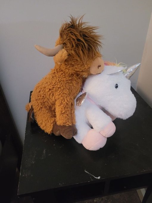A brown Highland bull plush sits behind a white unicorn plush on a black table, humorously illustrating the "$UFD" (unicorn-fart dust) joke where the bull whispers to the unicorn, capturing the playful crypto meme of the bull secretly joining the unicorn's fantastical world.