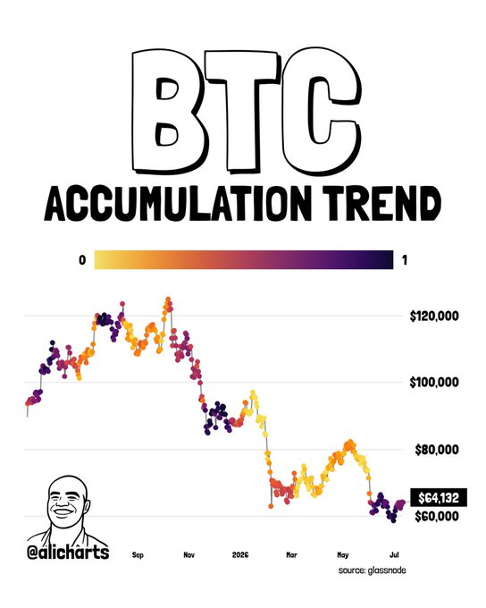 A chart titled "BTC Accumulation Trend" displays Bitcoin's accumulation trend score (scaled 0 to 1) plotted against price from September to July, with the current price at $64,132. The data points show the score approaching 1 (dark purple) in recent months, visually confirming the accompanying post's claim that Bitcoin's Accumulation Trend Score has remained close to 1 since June, indicating ongoing accumulation by large holders.