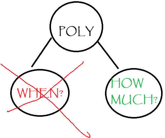This graphic depicts the $POLY trademark with "WHEN?" crossed out in red and "HOW MUCH?" highlighted in green, directly relating to the post's sentiment that the community's focus should shift from timing to value.