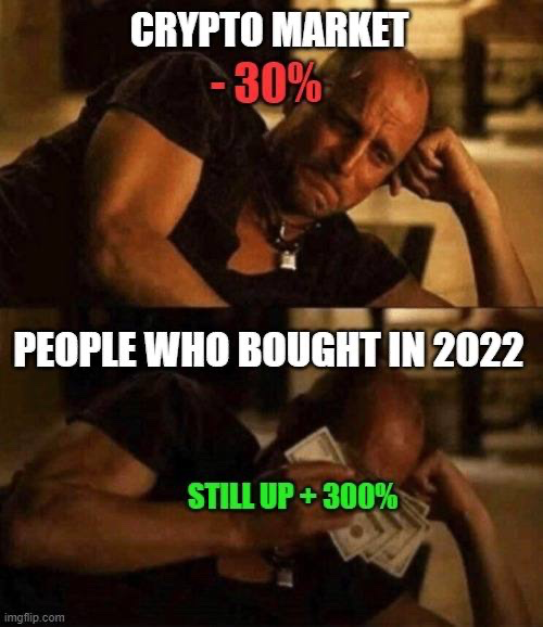 A two-panel meme shows a bald man looking bored then holding cash, with text reading 'CRYPTO MARKET - 30%' and 'PEOPLE WHO BOUGHT IN 2022 STILL UP + 300%'.